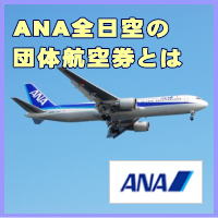 ANA�c�̍q�󌔂Ƃ�