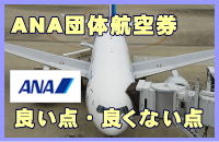 ANA�c�̍q�󌔂̃����b�g�ƃf�����b�g