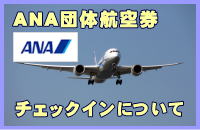 ANA�c�̍q�󌔂̃`�F�b�N�C���ɂ���