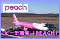 PEACH�i�s�[�`�q��j�������c�̍q��