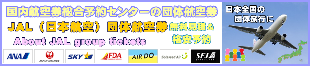 JAL(���{�q��)�c�̍q�󌔂̌��ςƗ\��ɂ���