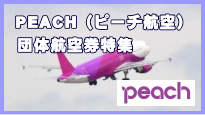 PWACH�c�̍q�󌔂̓��W