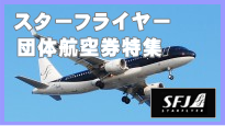 �X�^�[�t���C���[�c�̍q�󌔂̓��W