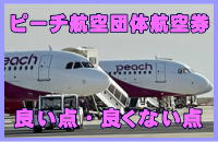 PEACH�q��̒c�̍q�󌔂̗ǂ��_�E�ǂ��Ȃ��_