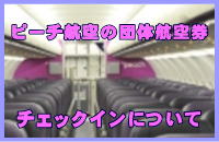 �s�[�`�q��̒c�̍q�󌔂̃`�F�b�N�C���ɂ���