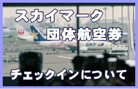 �X�J�C�}�[�N�c�̍q�󌔂̃`�F�b�N�C���ɂ���