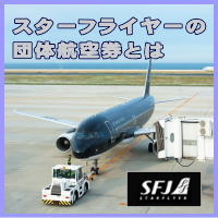 �X�^�[�t���C���[�c�̍q�󌔂Ƃ�