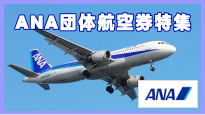 ANA(�S����)�c�̍q�󌔂̓��W