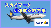 �X�J�C�}�[�N�c�̍q�󌔂̓��W