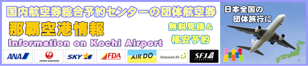 ����ߔe��`�̏��ƒc�̍q�󌔂̃`�F�b�N�C���ɂ���
