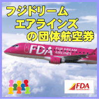 FDA�t�W�h���[���G�A���C���Y�̒c�̃`�F�b�N�C���ɂ���