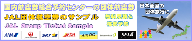 JAL�c�̃`�F�b�N�C����JAL�c�̍q�󌔍q�󌔂̃T���v��