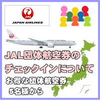 JAL�c�̍q�󌔂̒c�̓���Җ���T���v��