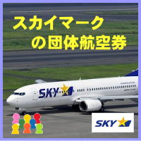 �X�J�C�}�[�N�c�̍q�󌔂̃`�F�b�N�C���ɂ��Ă̂��ē�
