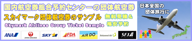 �X�J�C�}�[�N�c�̍q�󌔂̃`�F�b�N�C���ɂ���