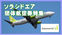 �\���V�h�G�A�c�̍q�󌔂̓��W